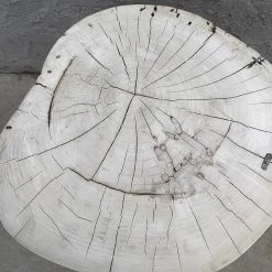 Organic Restoration Natural Poplar Round Table