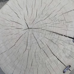 Organic Restoration Gansu Poplar Round Table Furniture