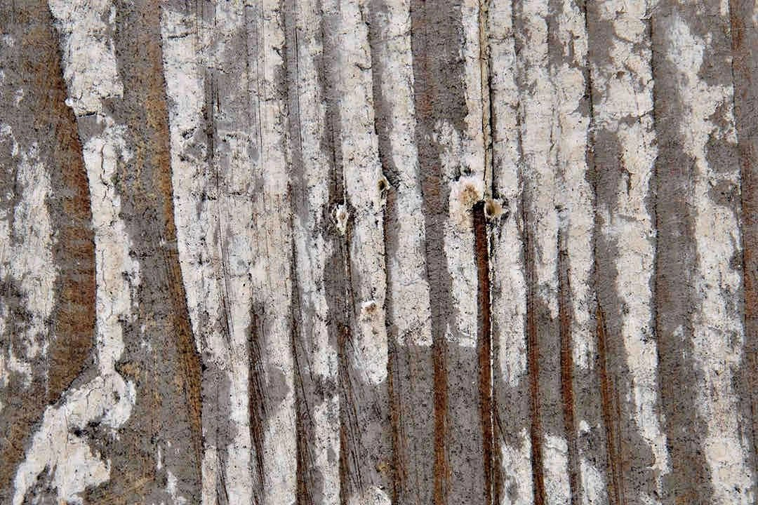 CFC Furniture Reclaimed Lumber Lewis 2-Drawer Nightstand