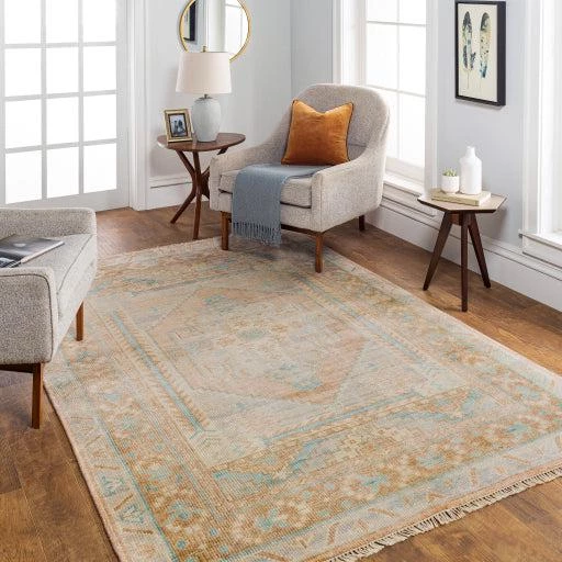 Rugs Anadolu Rug By Surya-AAU-2306