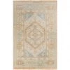 Anadolu Rugs By Surya-AAU-2309