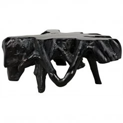 Noir Furniture Noir Teak Root Coffee Table, Black