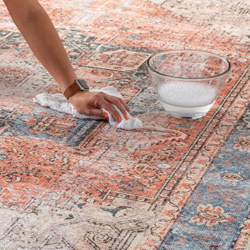 Amelie Rug By Surya-aml-2309 Rugs