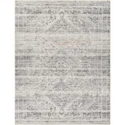 Amelie Rug By Surya-aml-2381 Rugs