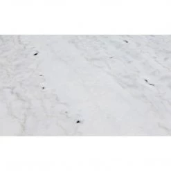 Dining Tables Noir Furniture Laredo Bar Table 40", Aged Brass, White Marble Top