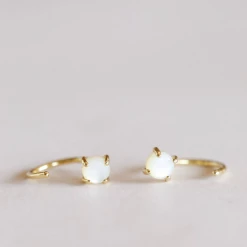 JaxKelly Huggies Earrings Jewelry