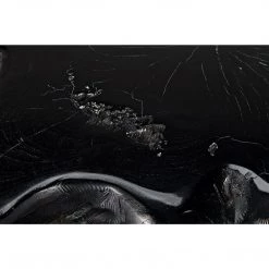 Noir Furniture Noir Teak Root Coffee Table, Black