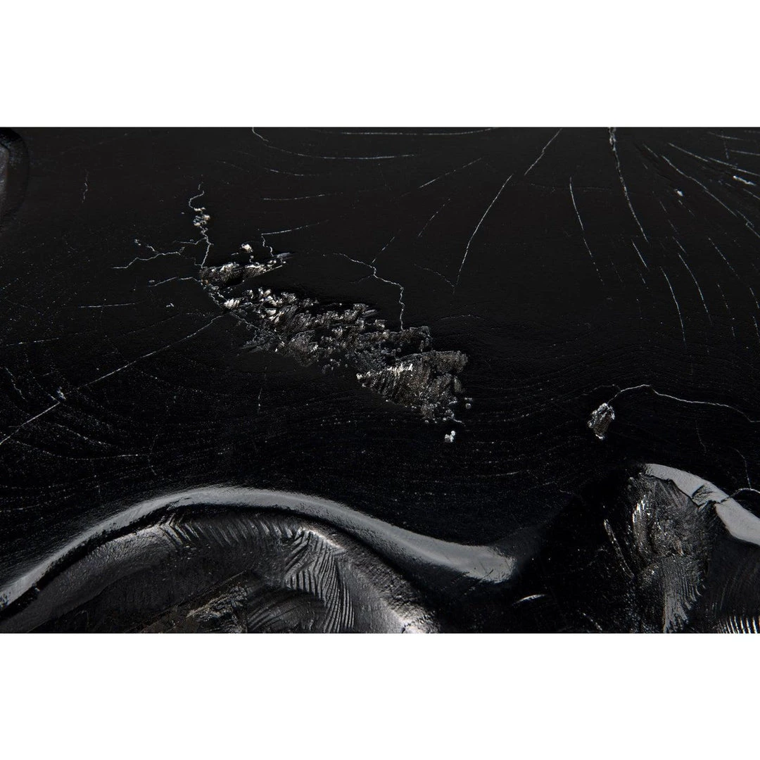 Noir Furniture Noir Teak Root Coffee Table, Black