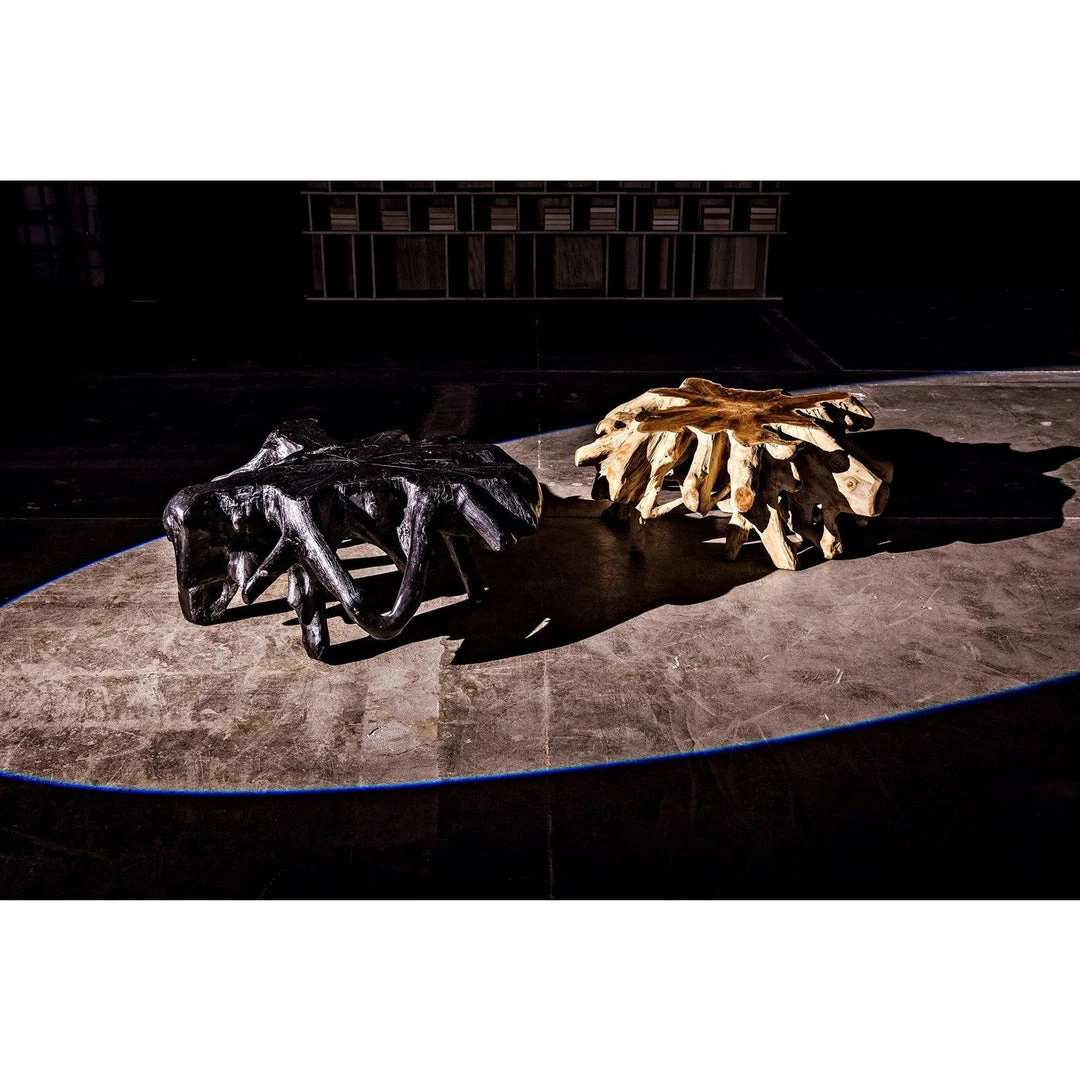 Noir Furniture Noir Teak Root Coffee Table, Black